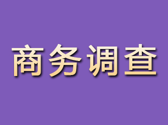 阳城商务调查